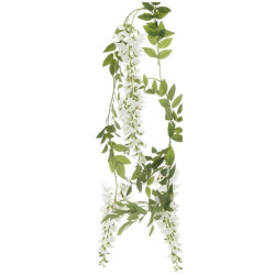 Wisteriakoynnoslajitelma 180cm valkoinen
